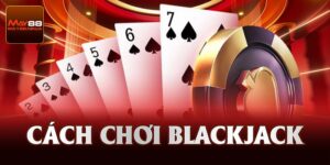 Cách Chơi Blackjack Chuẩn Xác Dành Cho Tân Thủ May88